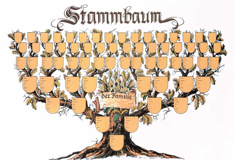 Schmuckbild, Stammbaum | Verlag Winkelried